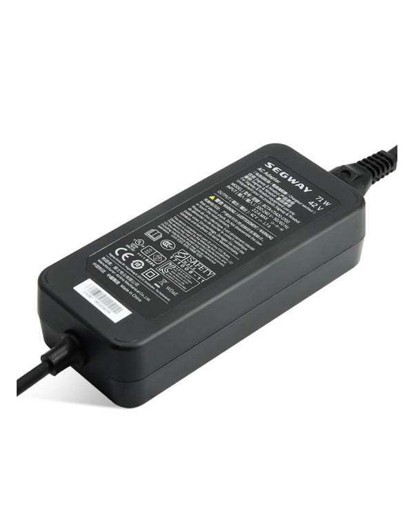 Segway Kickscooter Charger