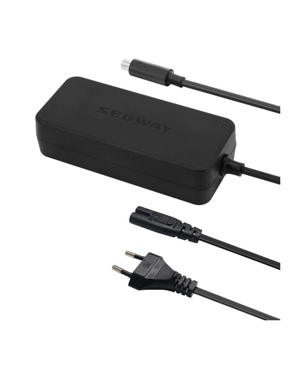 Segway Kickscooter Charger